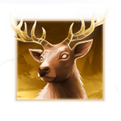 Icon 1 Blazing Spirit Hold and Win