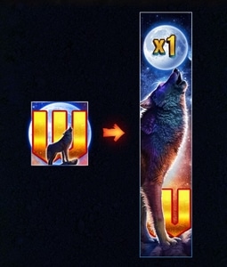 Expanding Wild Re-Spins