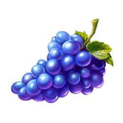 Icon 6 Rally 4 Riches