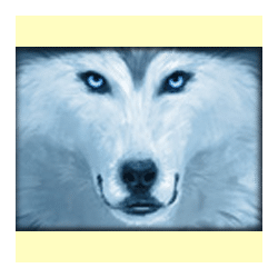 Icon 3 Wolf Moon