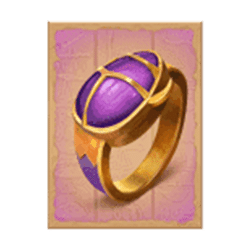 Icon 5 Raider Jane’s Crypt of Fortune