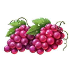 Icon 5 Hit Coins 2 Hold and Spin