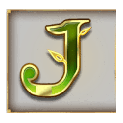 Icon 8 Oasis of Dead