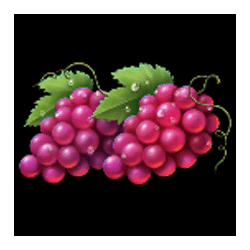 Icon 5 Hit Coins Hold and Spin