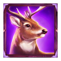 Icon 4 Bucks And Doe 10K Ways