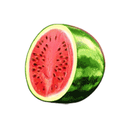 Icon 7 Dice Dice Baby