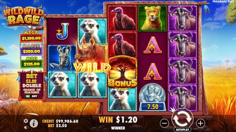 Wild Wild Rage slot screen 2