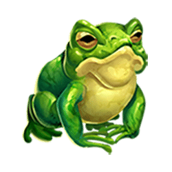 Icon 4 Dragon’s Element Deluxe