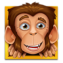 Scatter of Loco the Monkey Slot