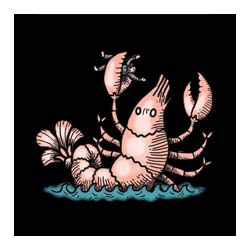 Icon 4 1429 Uncharted Seas