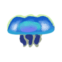 Icon 8 Fish and Bird