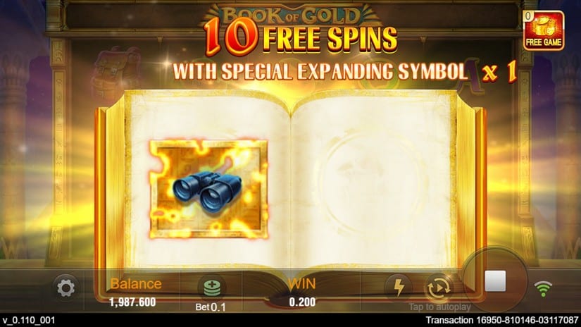 Book of Gold slot screen 3