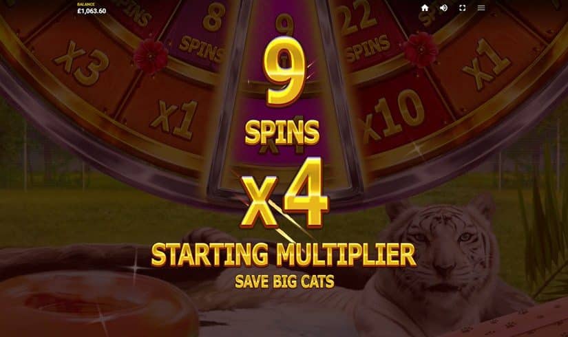 Big Cat Rescue MegaWays slot screen 2