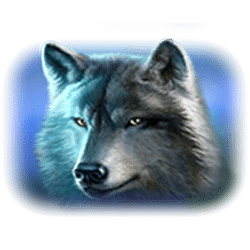 Icon 4 Buffalo Thunderstacks