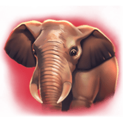 Icon 2 Way Of The Tiger