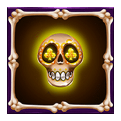 Icon 7 Mariachi Afortunado