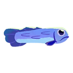 Icon 4 Fish and Bird