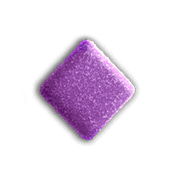 Icon 8 Wild Wild Fruit