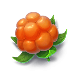 Icon 2 Winterberries 2