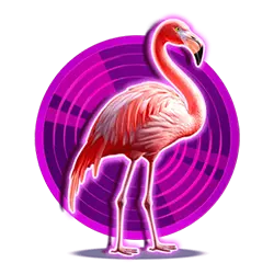 Icon 2 Big Bass Rock and Roll