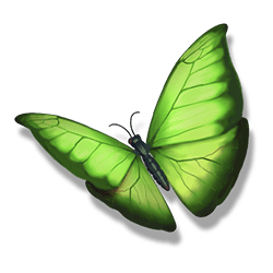 Icon 5 The Legend of Shangri-La