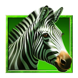 Icon 4 Lucky Safari Hold And Win