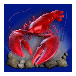 Icon 3 Dolphin’s Pearl Deluxe