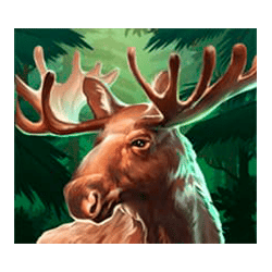 Icon 4 Bison Rising Megaways