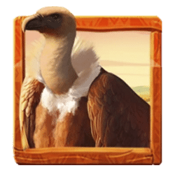 Icon 2 Savannah Spirits