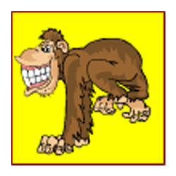 Bonus of Crazy Monkey Slot