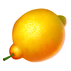 Icon 4 Hot Zone Wild