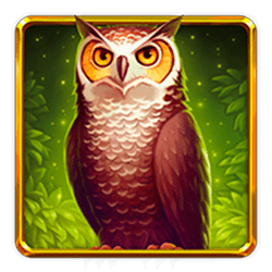 Icon 3 Book of Wizard: Crystal Chance