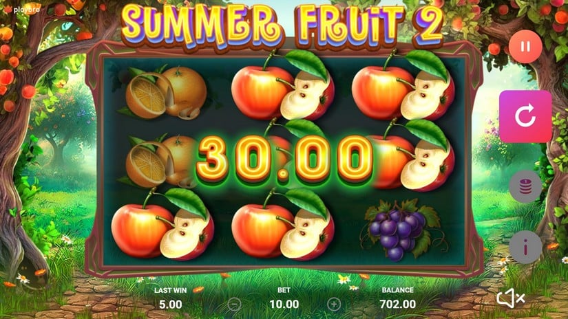 The Summer Fruit 2 slot screen 5