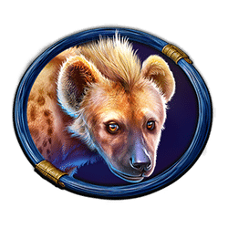 Icon 6 Great Rhino Deluxe