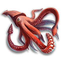 Icon 3 6 Wild Sharks