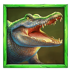 Icon 4 Rhino Hold and Win