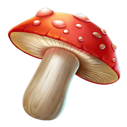 Icon 3 Barn Festival