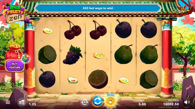 243 Fruity Zen slot screen 2