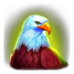 Icon 5 Black Wolf Hold and Win