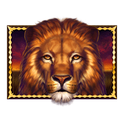 Icon 2 African Quest