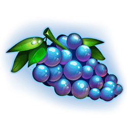 Icon 8 Miami Bonus Wheel Hit ‘n’ Roll