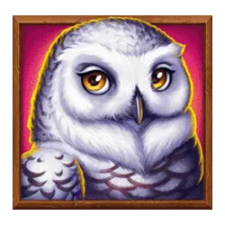 Icon 4 Polar Bonanza