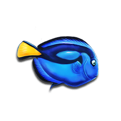 Icon 7 Wild Krakatoa