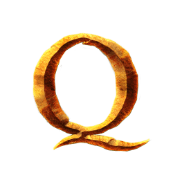 Icon 9 Almighty Sparta