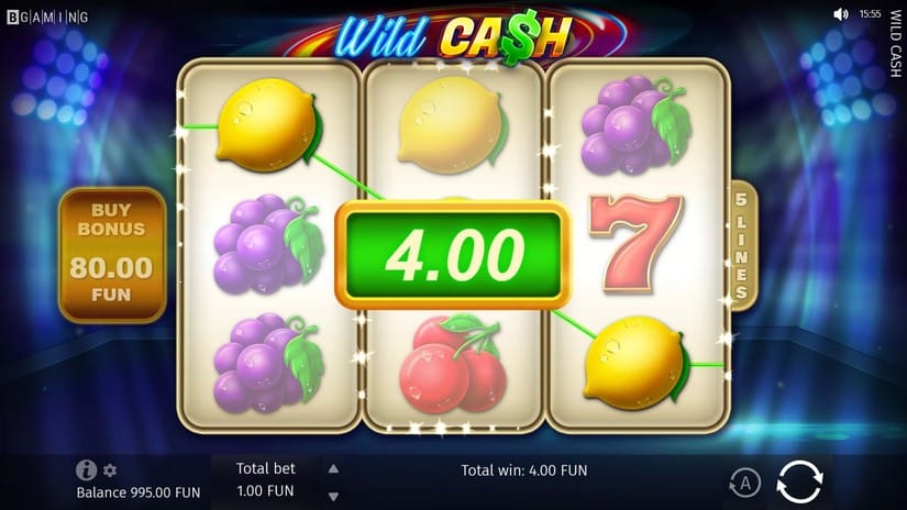 Wild Cash slot screen 2