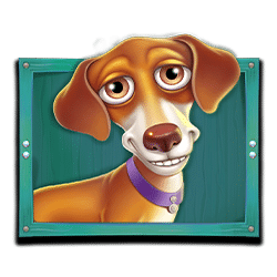 Icon 4 The Dog House Megaways