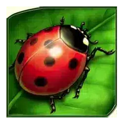 Icon 3 Lucky Lady’s Charm