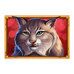 Icon 3 Wolf Reels Rapid Link