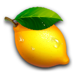 Icon 7 Smoking Hot Fruits 20