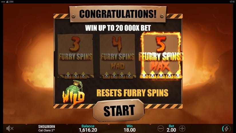 Cat Clans 2 Mad Cats slot screen 3